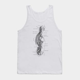 Human Body - Section Tank Top